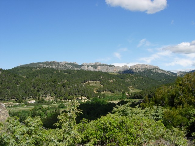DSCN8421.jpg