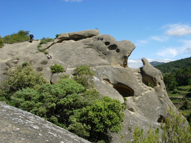 DSCN8423.jpg
