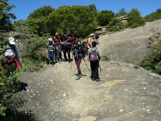 DSCN8424.jpg