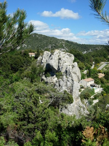 DSCN8435.jpg