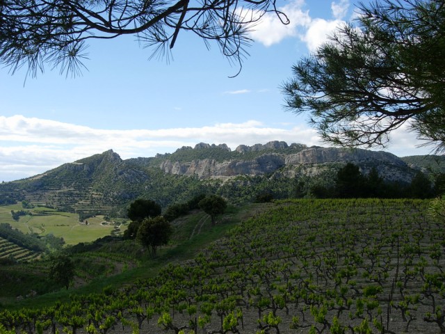 DSCN8439.jpg