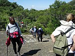 DSCN8410.jpg