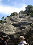 DSCN8416.jpg