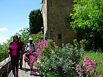 DSCN8437.jpg
