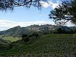 DSCN8439.jpg
