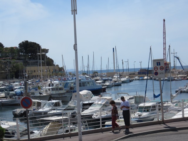 IMG_1059.jpg
