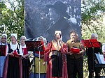naturoptere_2015_03.jpg
