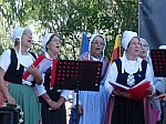naturoptere_2015_10.jpg