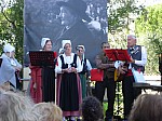naturoptere_2015_11.jpg