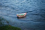 negue_lume_2015__26.jpg