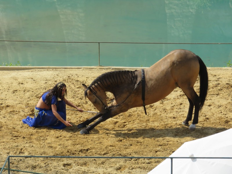 Pezenas_Suite_ 2016_10.jpg