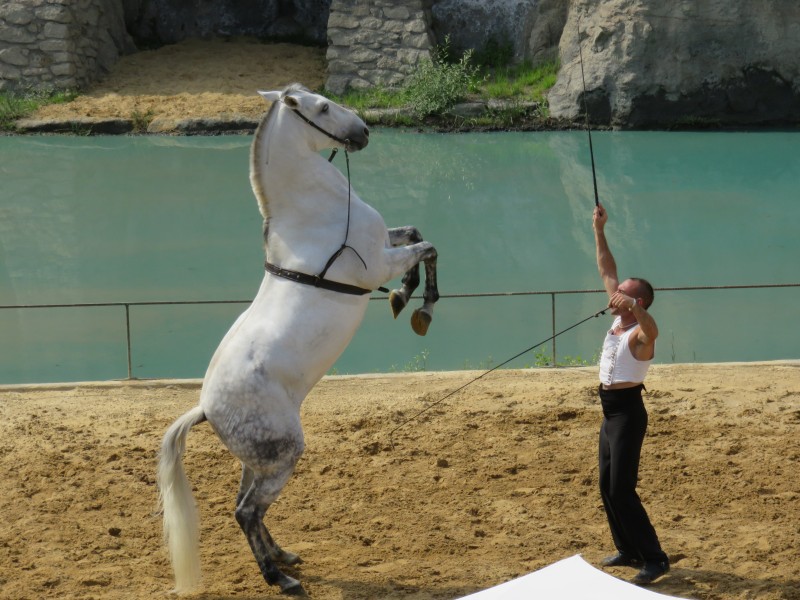 Pezenas_Suite_ 2016_11.jpg