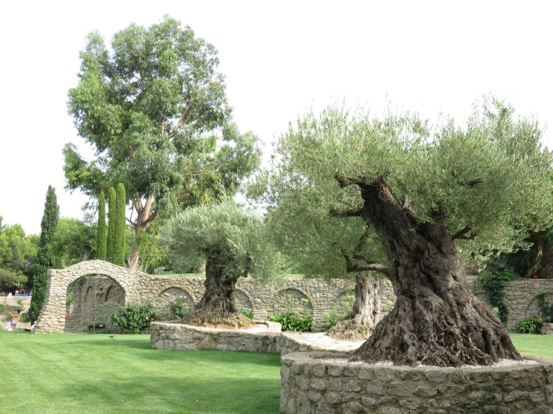 Pezenas_Suite_ 2016_15.jpg