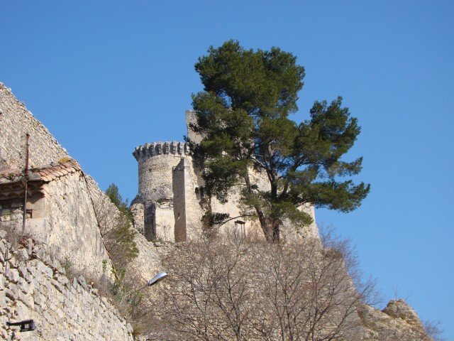 DSC07420.jpg