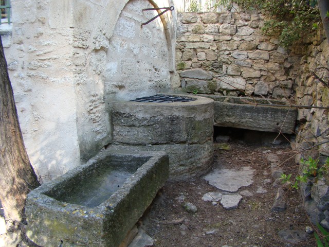 DSC07432.jpg