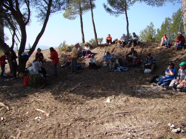DSC07446.jpg