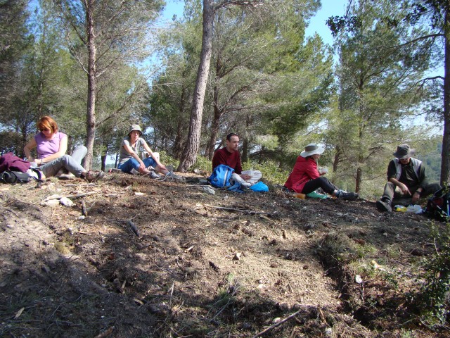 DSC07447.jpg