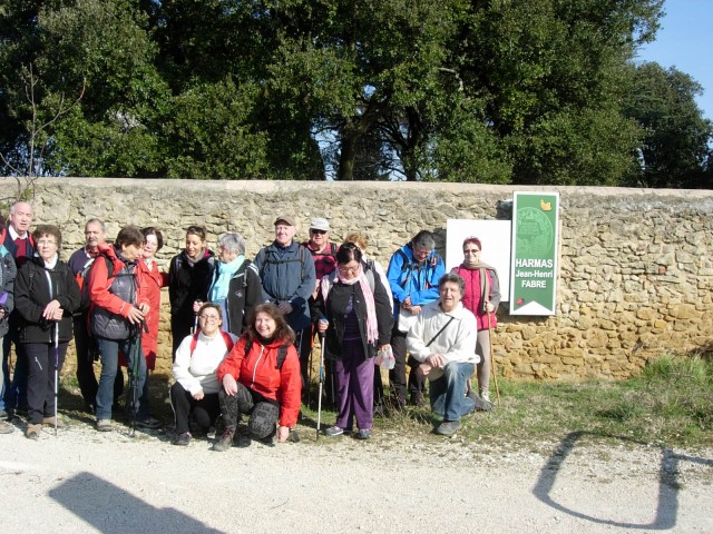 DSCN6181.jpg