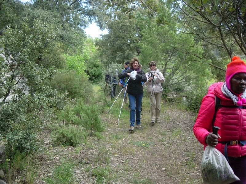 DSCN4885.jpg