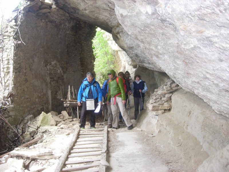 DSCN4891.jpg