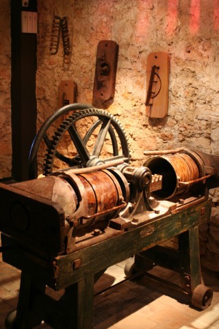 IMG_9598.jpg