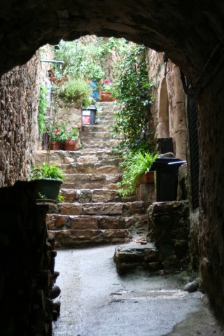 IMG_9644.jpg